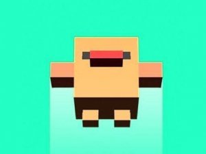 Flappy Bird Rise Casual Game