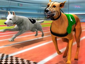 Dogs3D Races Online Game Arcade Game