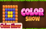 Color Show: Pattern Match Puzzle