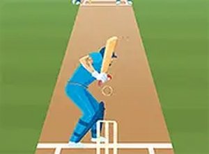Precision Batting Cricket Challenge